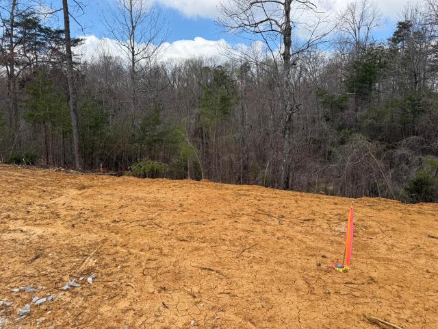 Land for sale in Monticello, Kentucky