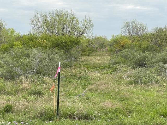 Land for sale in Moore, Texas