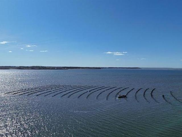 Land for sale in Prince, Prince Edward Island