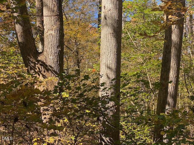 Land for sale in Efland, North Carolina