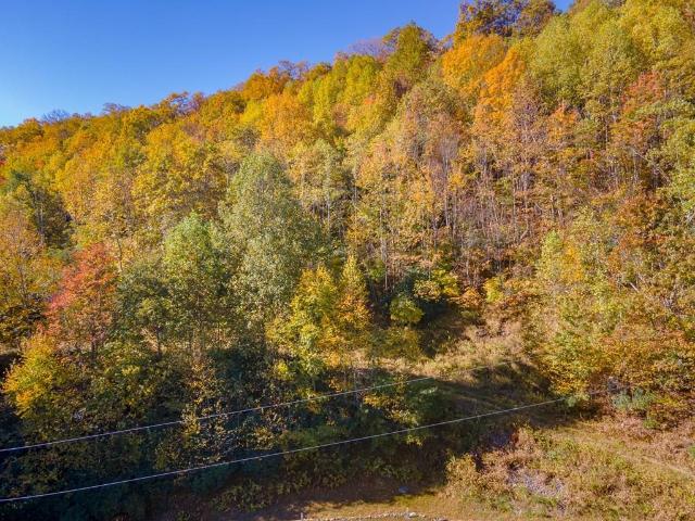 Land for sale in Virginia