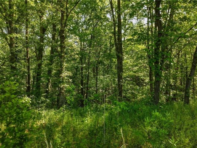 Land for sale in Dahlonega, Lumpkin County