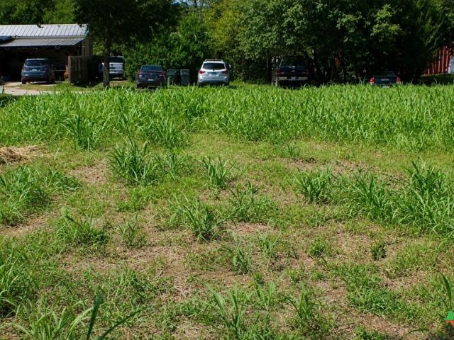 Land for sale in Waelder, Texas