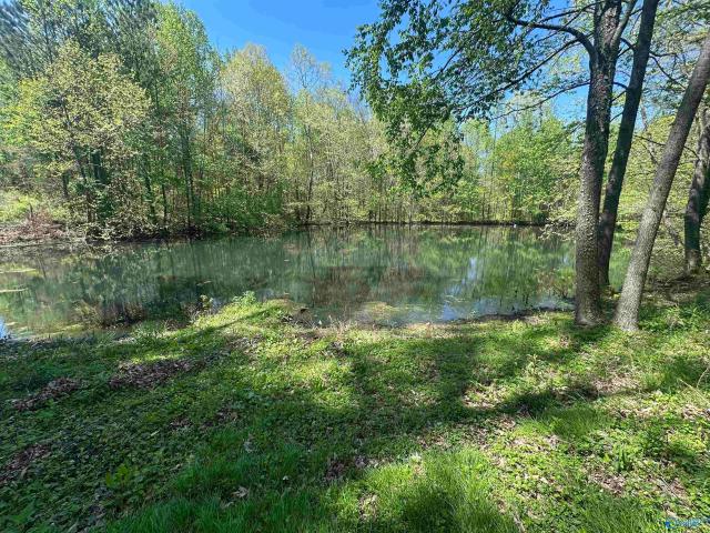 Land for sale in Elkmont, Alabama