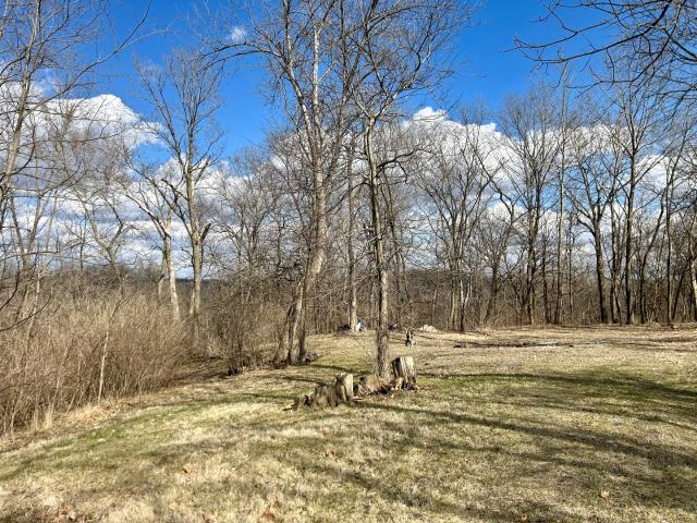 Land for sale in Oglesby, Illinois