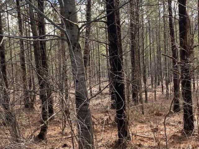 Land for sale in Tennessee