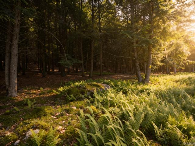 Land for sale in Bethel, New York