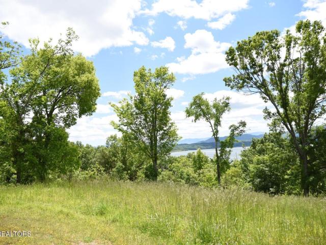 Land for sale in Tennessee