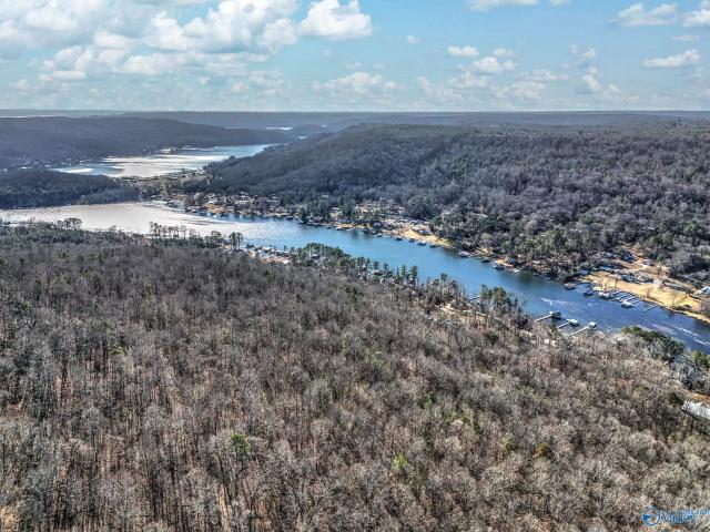 Land for sale in Grant, Marshall County