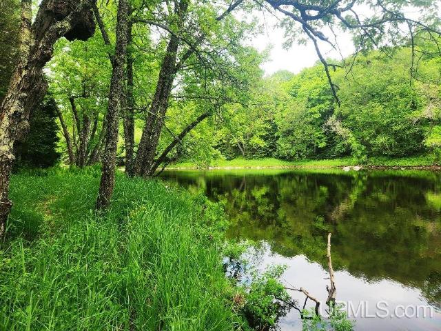 Land for sale in Michigan