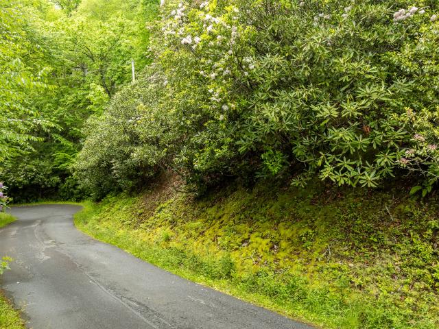 Land for sale in Cullowhee, North Carolina