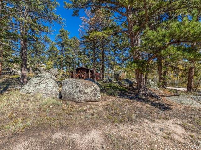 Land for sale in Red Feather Lakes, Colorado