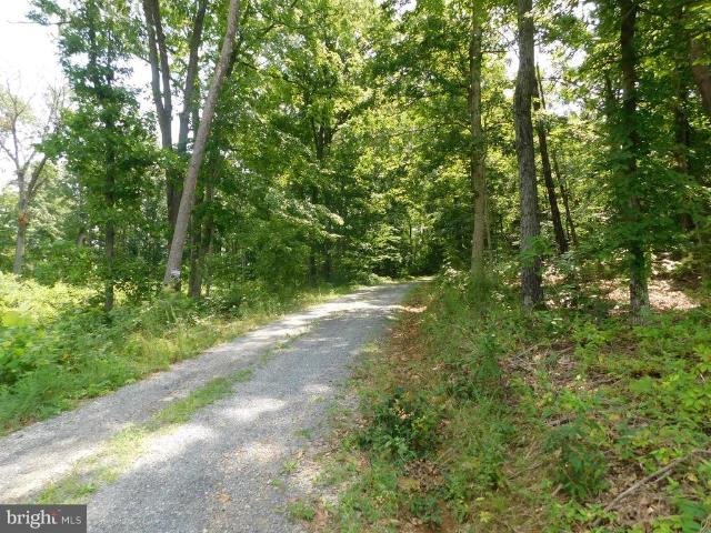 Land for sale in Virginia