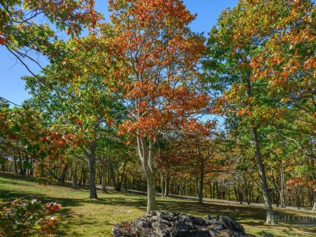 Land for sale in Banner Elk, Watauga County