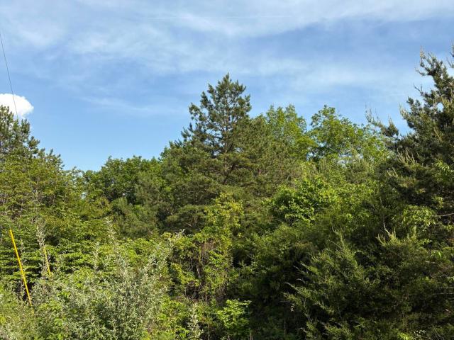 Land for sale in Tennessee