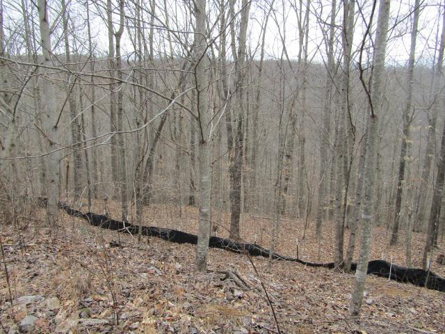 Land for sale in Tennessee