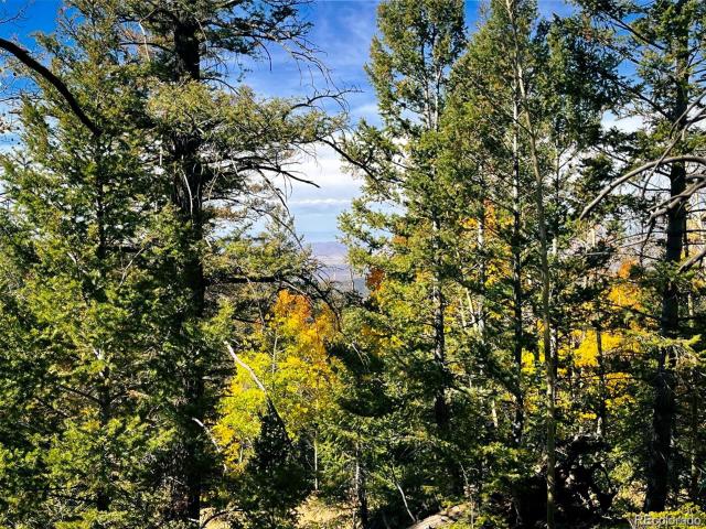 Land for sale in Fort Garland, Colorado