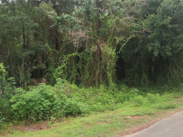 Land for sale in Prairie View, Waller County