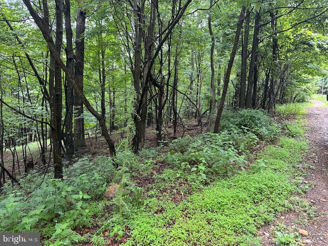 Land for sale in Romney, West Virginia