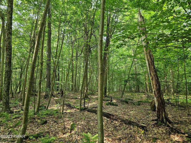 Land for sale in Pennsylvania