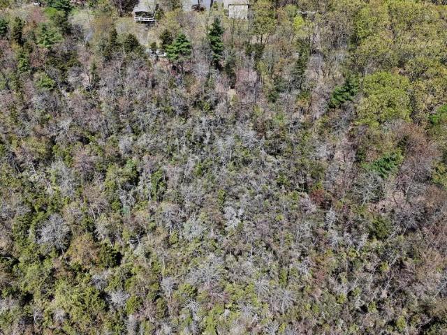 Land for sale in Pocono Summit Land for sale in Pocono Summit
