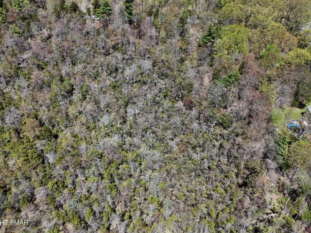 Land for sale in Blakeslee, Pennsylvania
