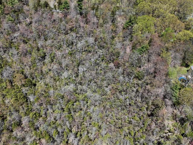Land for sale in Pocono Summit Land for sale in Pocono Summit