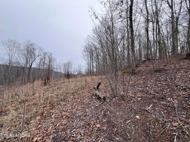 Land for sale in Tennessee