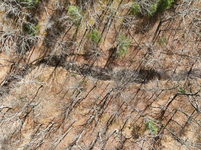 Land for sale in Romney, West Virginia
