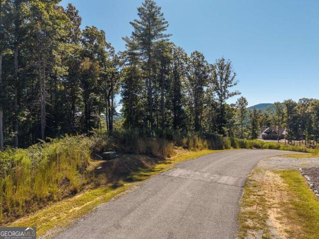 Land for sale in Blue Ridge, Fannin County
