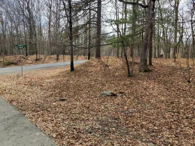 Land for sale in Beach Lake, Pennsylvania