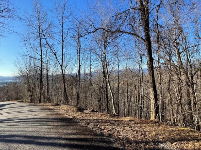 Land for sale in Hayesville, North Carolina