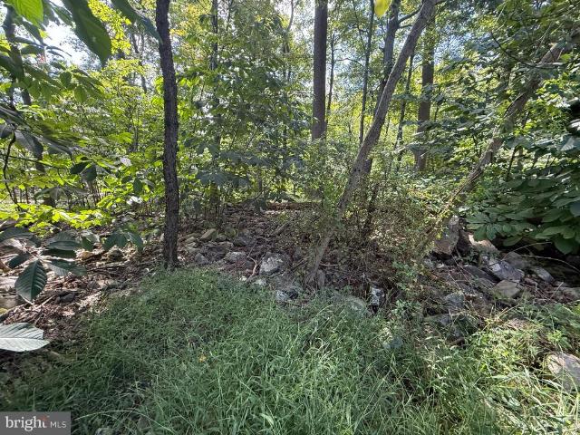 Land for sale in Susquehanna Township, Dauphin County