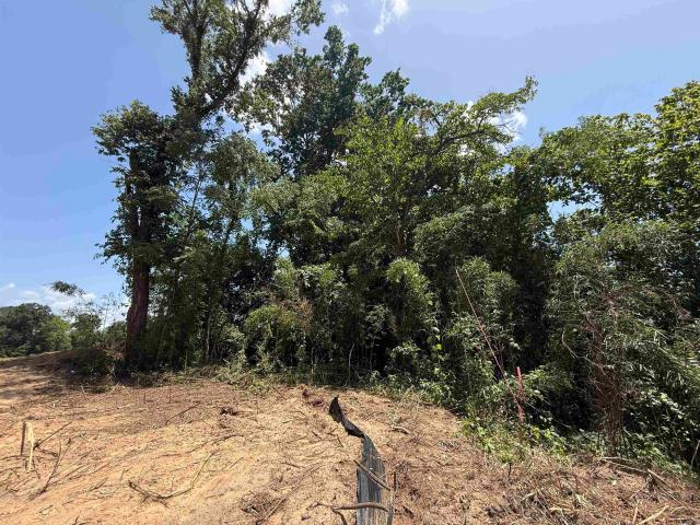 Land for sale in Ark