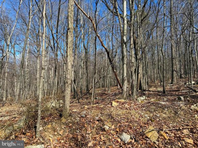 Land for sale in Romney, West Virginia
