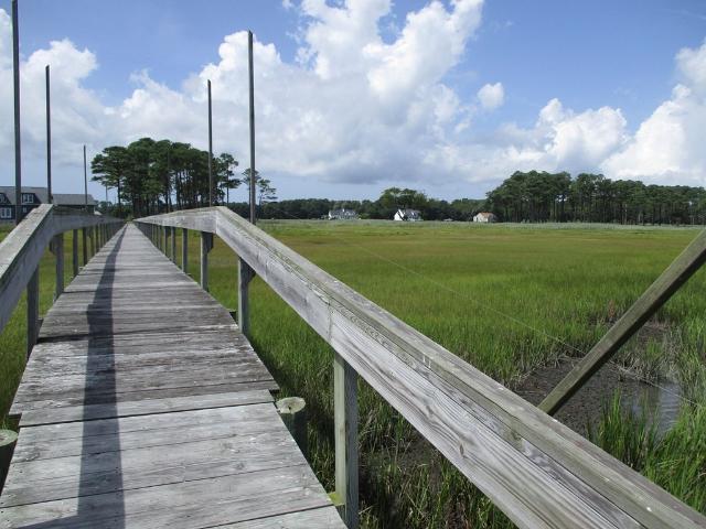 Land for sale in Parksley, Accomack County