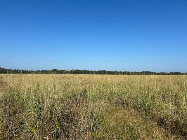 Land for sale in Hull, Texas