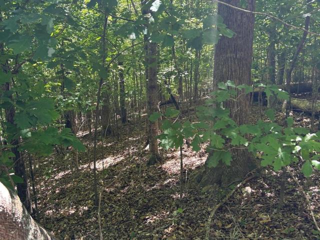 Land for sale in Tennessee