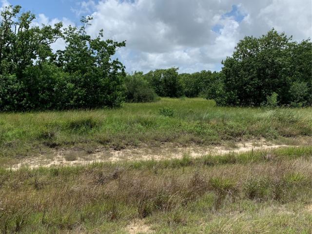 Land for sale in Palacios, Texas