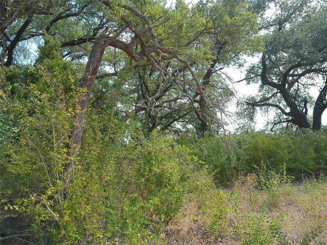 Land for sale in Bertram, Texas