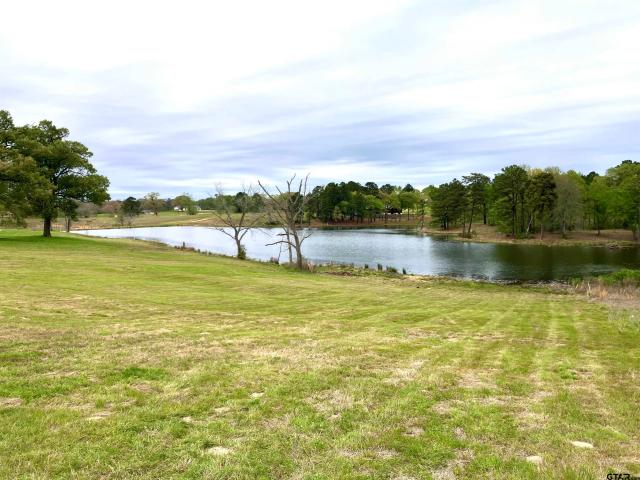Land for sale in Big Sandy, Texas