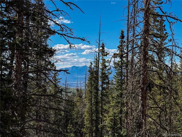 Land for sale in Fort Garland, Colorado