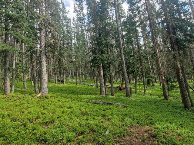 Land for sale in Fort Garland, Colorado