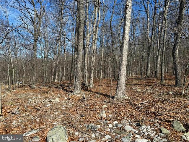 Land for sale in West Virginia