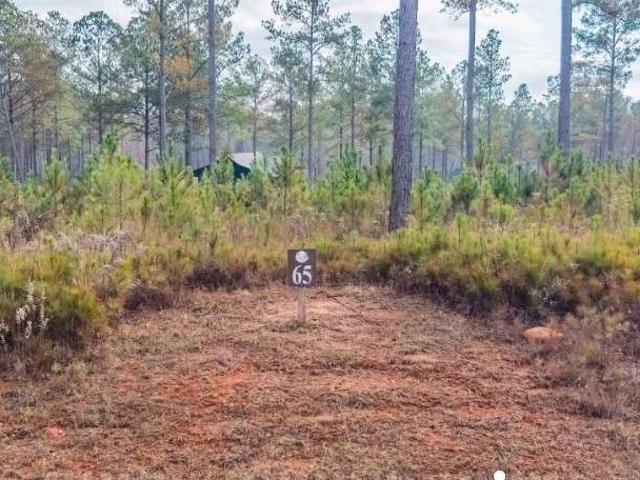 Land for sale in Gilmer, Georgia