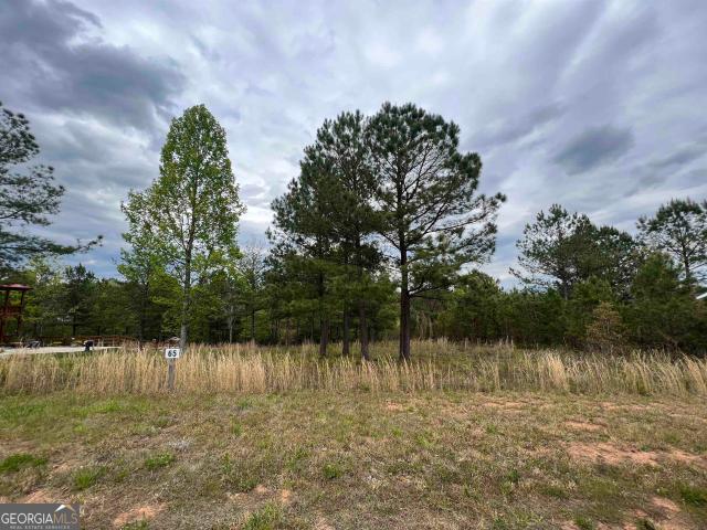 Land for sale in Blairsville, Union County