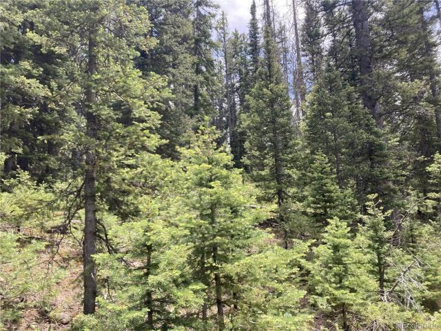 Land for sale in San Luis, Costilla County