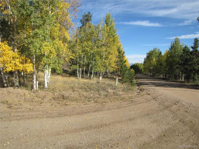 Land for sale in Hartsel, Park County