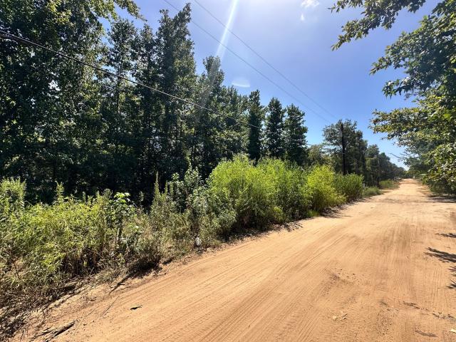 Land for sale in Mineola, Wood County