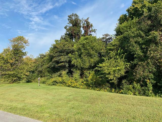 Land for sale in Tennessee